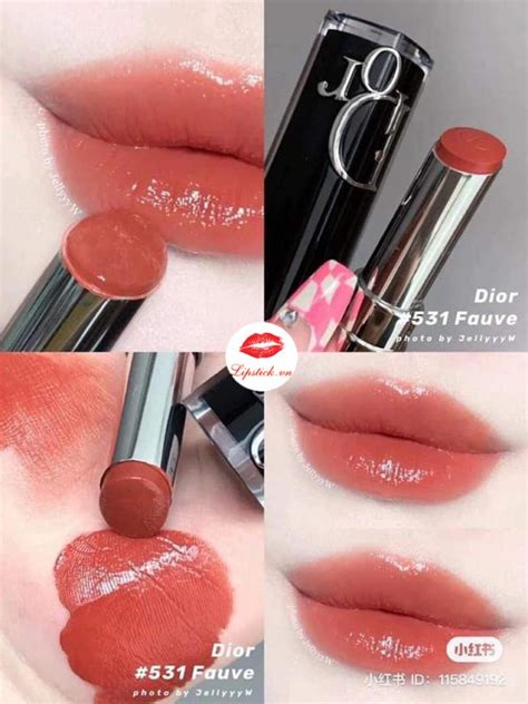 dior addict lipstick 531 fauve|Dior rose lipstick.